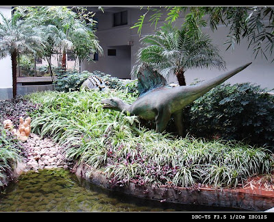 Image 7: http://farm1.static.flickr.com/182/377206035_987d41389b.jpg?v=0